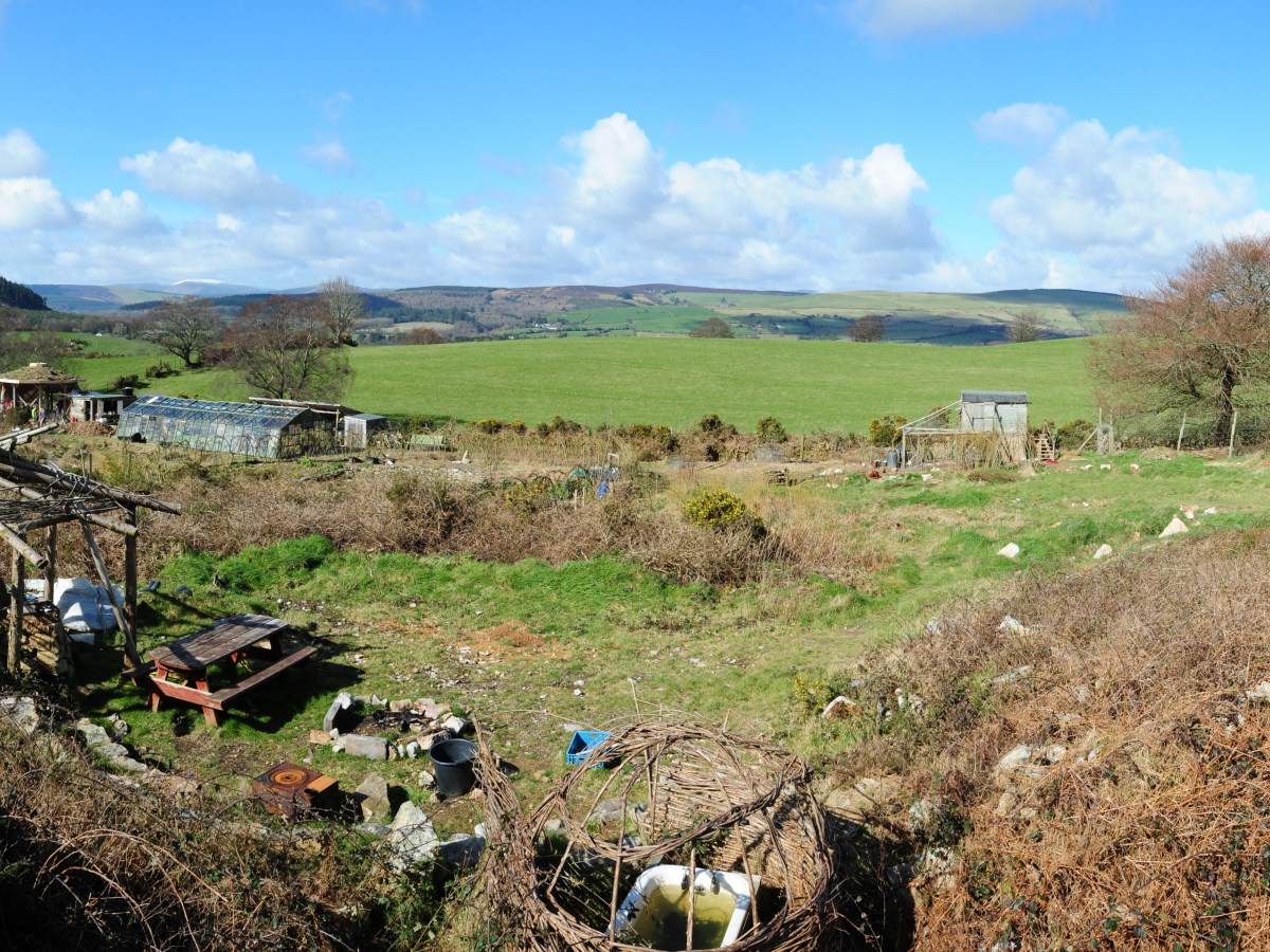 Permaculture principles: new/old&nbsp;thinking