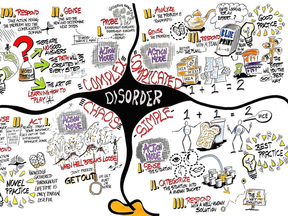 The Thinking That Made Them –&nbsp;Sensemaking