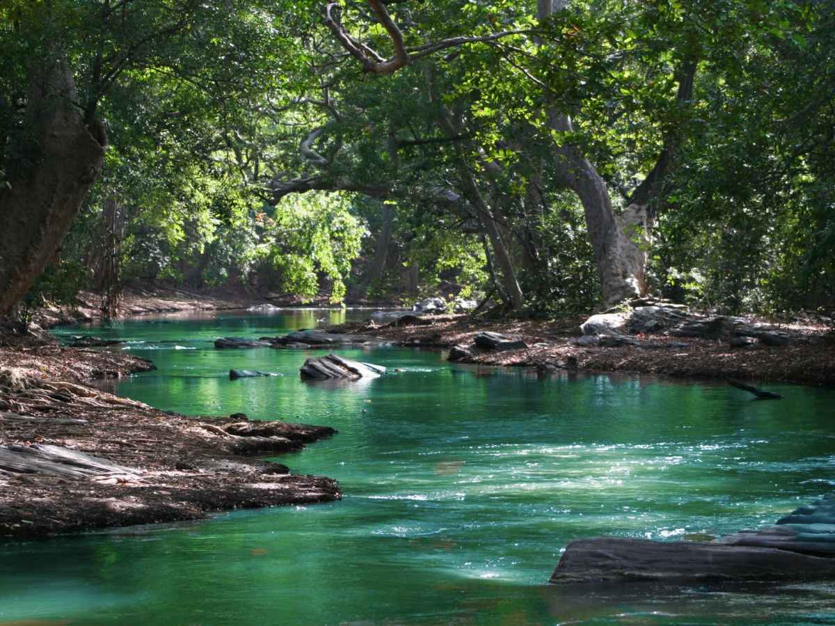 After the Collapses&nbsp;4