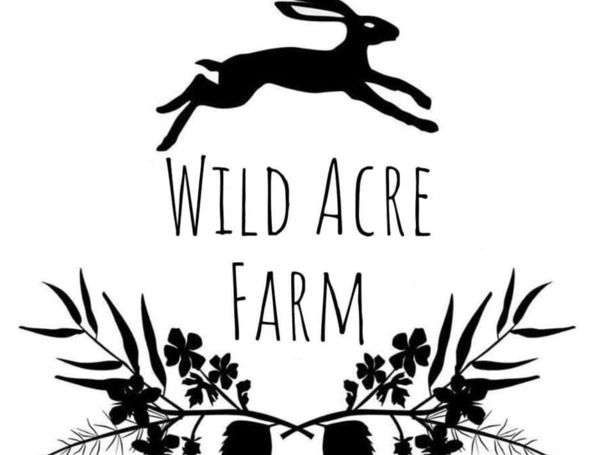 Claire Templar Interview