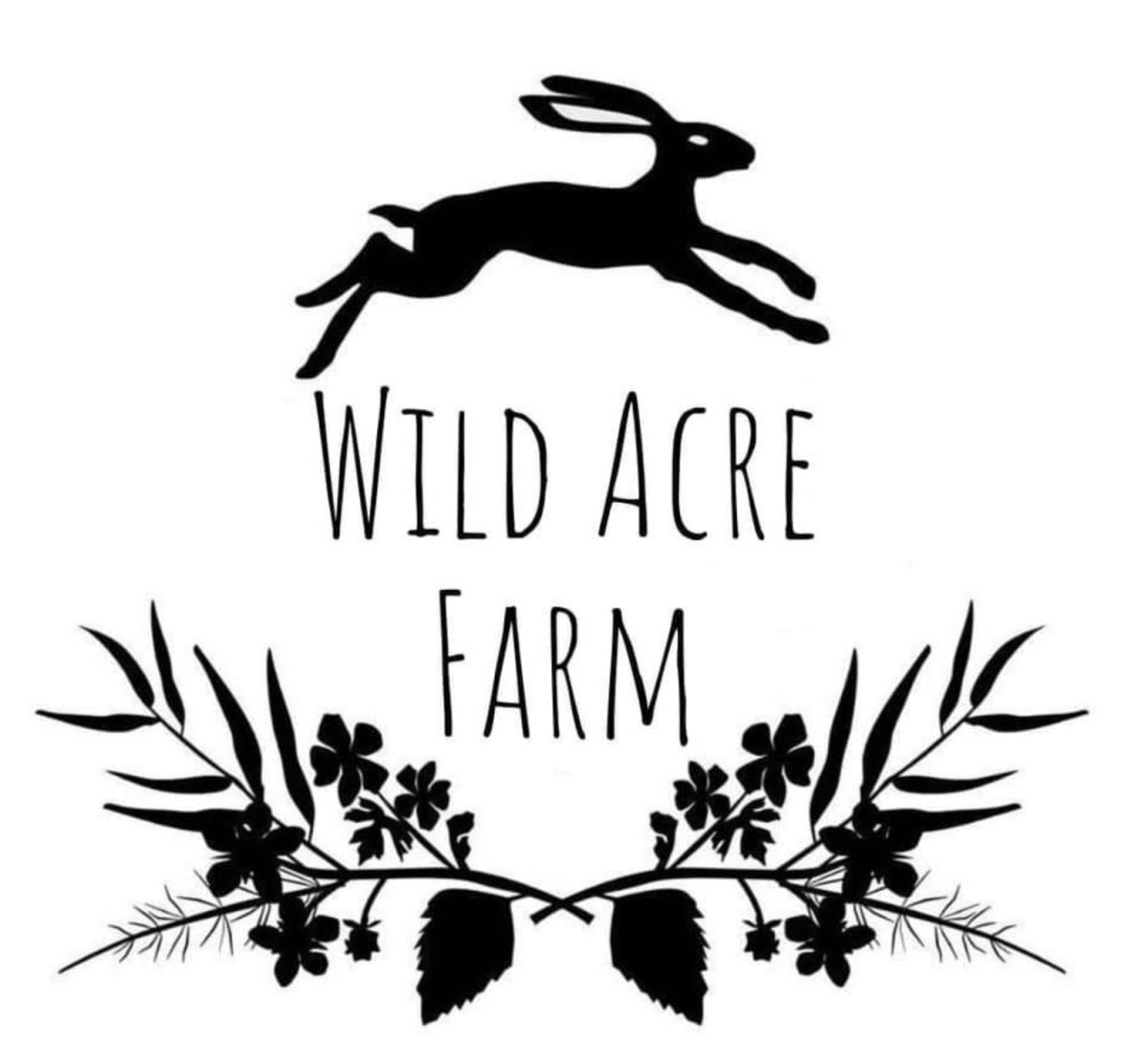 Claire Templar Interview