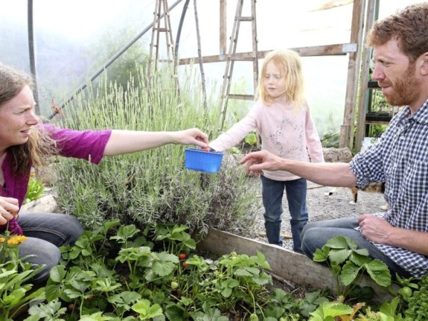 Interview 7 with Steve Golemboski-Byrne